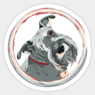 Miniature Schnauzer Sticker